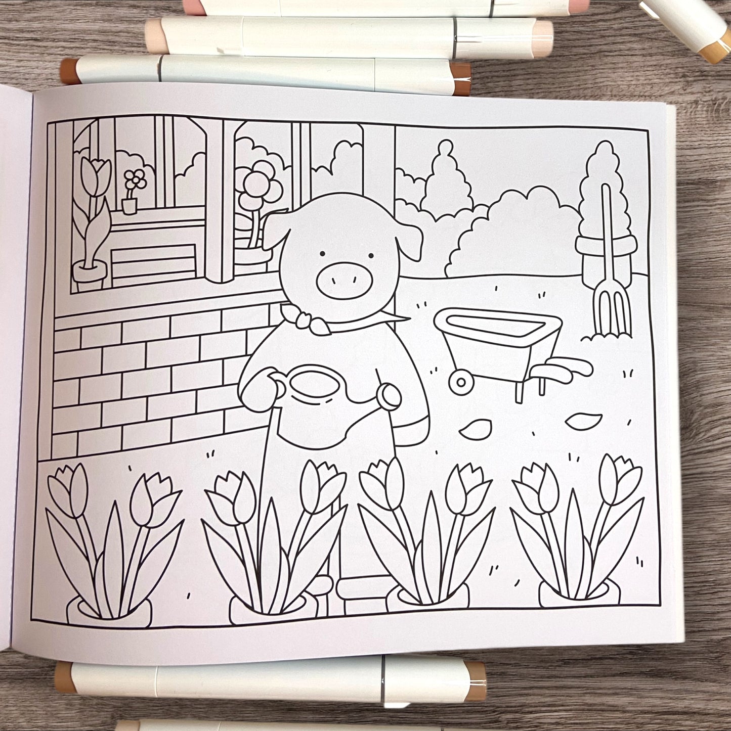 FARM FRENZY COLORING BOOK